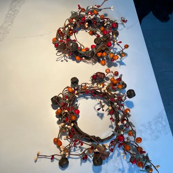 2 gorgeous fall wreaths adorned w/seeds, flowers & metal leaves & bells - Picture 10 of 14